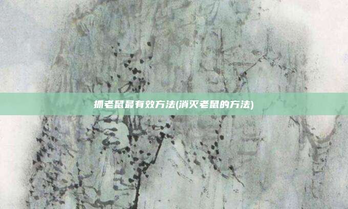 抓老鼠最有效方法(消灭老鼠的方法)