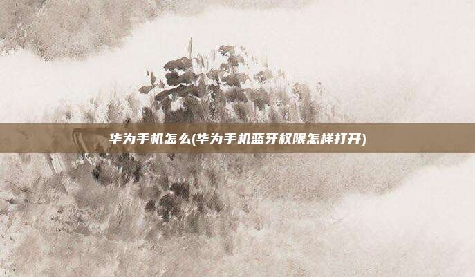 华为手机怎么(华为手机蓝牙权限怎样打开)