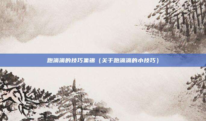 跑滴滴的技巧集锦（关于跑滴滴的小技巧）