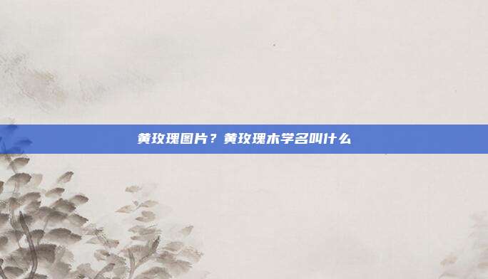 黄玫瑰图片?黄玫瑰木学名叫什么