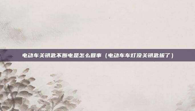 电动车关钥匙不断电是怎么回事（电动车车灯没关钥匙拔了）