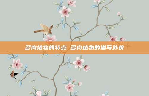 多肉植物的特点 多肉植物的描写外貌