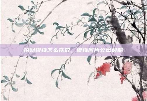 招财貔貅怎么摆放,貔貅图片公母对照