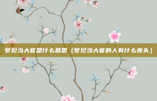 梦见当大官是什么意思（梦见当大官的人有什么兆头）