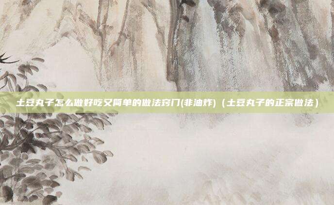 土豆丸子怎么做好吃又简单的做法窍门(非油炸)（土豆丸子的正宗做法）
