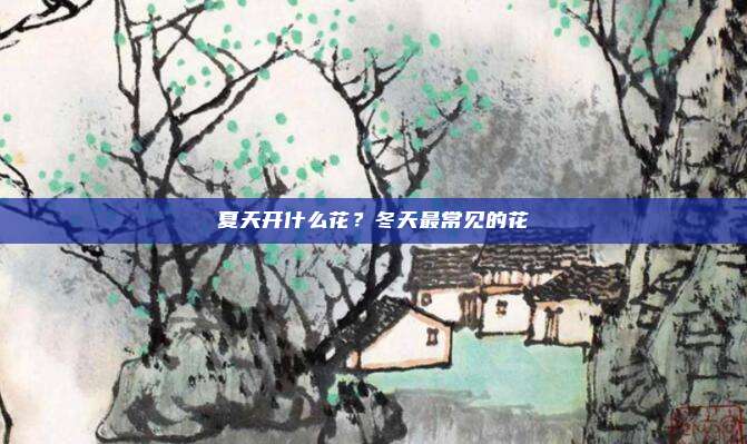 夏天开什么花？冬天最常见的花