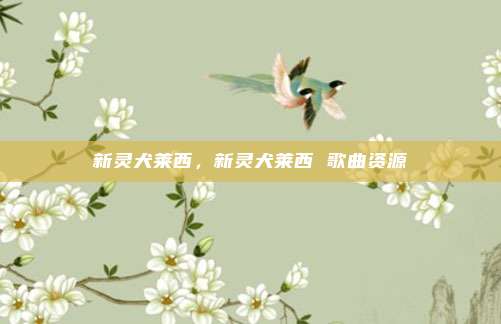 新灵犬莱西，新灵犬莱西 歌曲资源