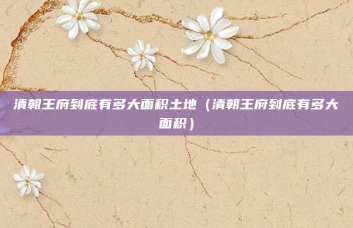 清朝王府到底有多大面积土地（清朝王府到底有多大面积）