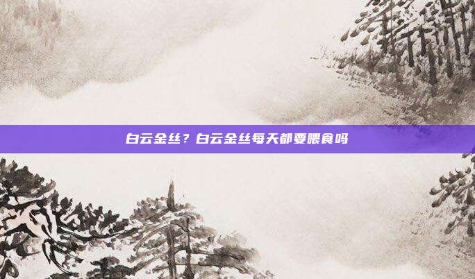 白云金丝?白云金丝每天都要喂食吗