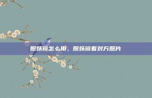 照妖镜怎么用，照妖镜看对方照片