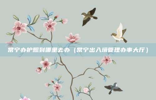 常宁办护照到哪里去办（常宁出入境管理办事大厅）