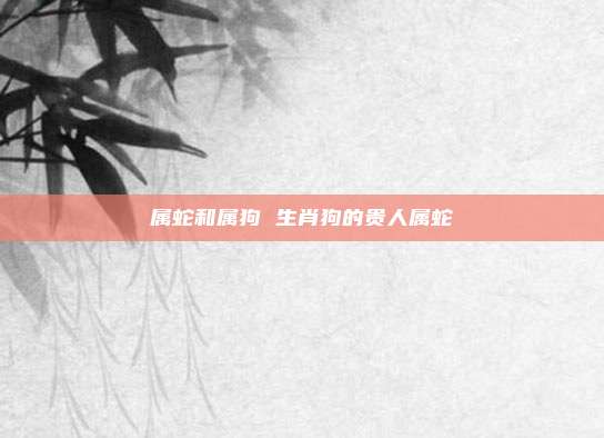 属蛇和属狗 生肖狗的贵人属蛇