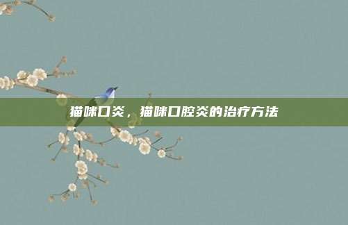 猫咪口炎，猫咪口腔炎的治疗方法