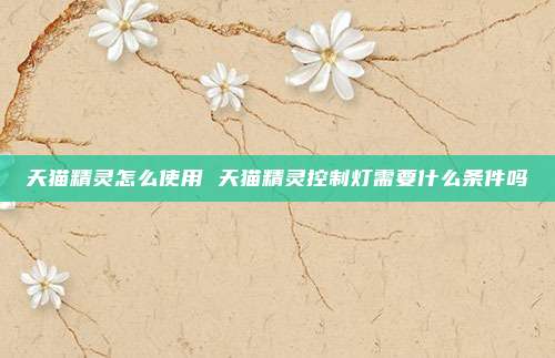 天猫精灵怎么使用 天猫精灵控制灯需要什么条件吗