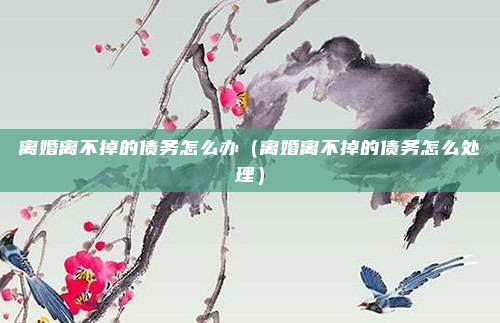 离婚离不掉的债务怎么办（离婚离不掉的债务怎么处理）