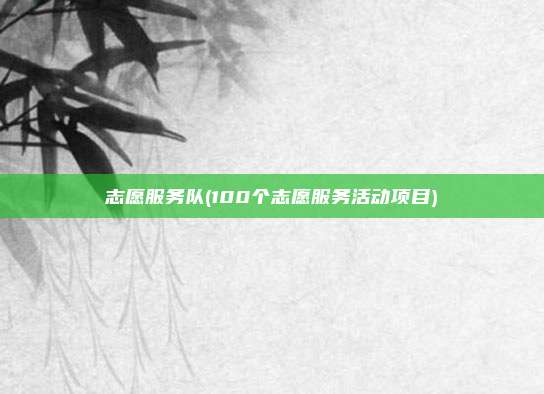 志愿服务队(100个志愿服务活动项目)