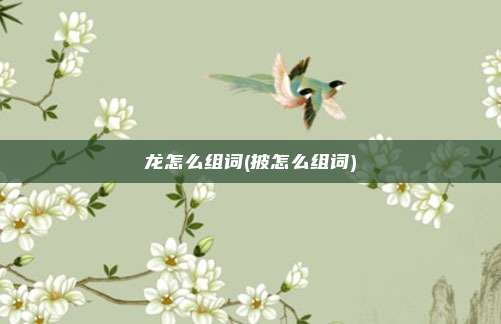 龙怎么组词(披怎么组词)