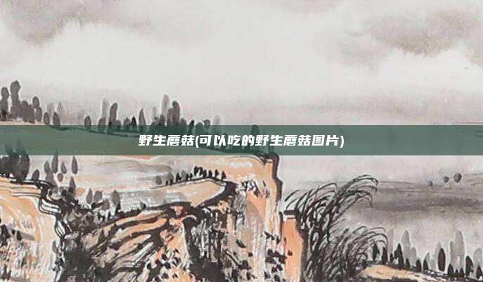 野生蘑菇(可以吃的野生蘑菇图片)