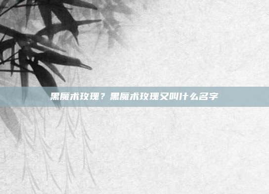 黑魔术玫瑰?黑魔术玫瑰又叫什么名字