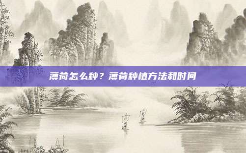 薄荷怎么种？薄荷种植方法和时间