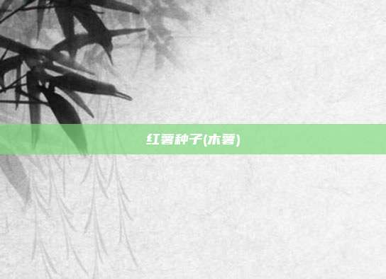 红薯种子(木薯)