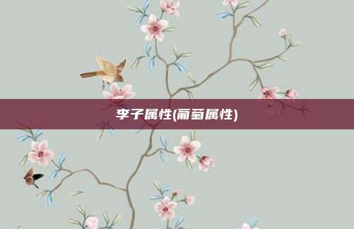李子属性(葡萄属性)