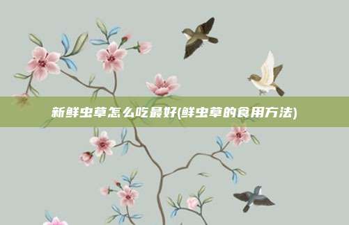 新鲜虫草怎么吃最好(鲜虫草的食用方法)