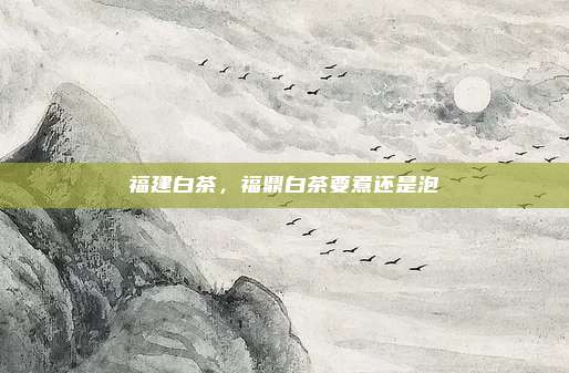 福建白茶，福鼎白茶要煮还是泡