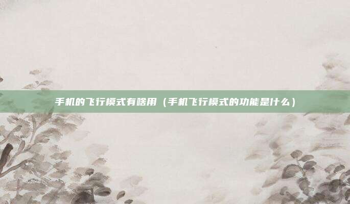 手机的飞行模式有啥用（手机飞行模式的功能是什么）