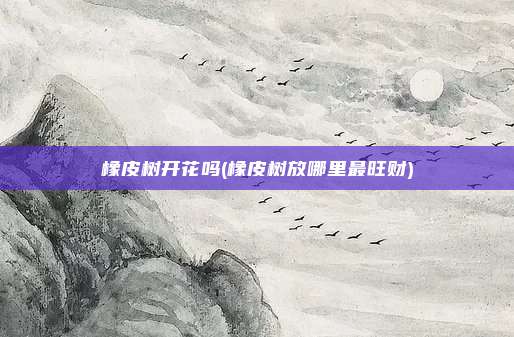 橡皮树开花吗(橡皮树放哪里最旺财)