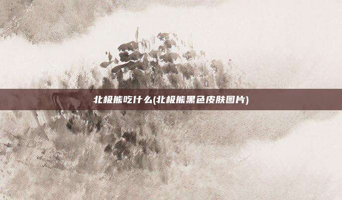 北极熊吃什么(北极熊黑色皮肤图片)