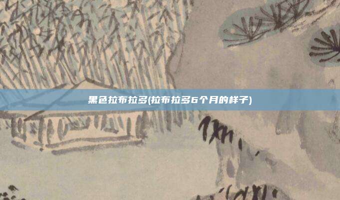 黑色拉布拉多(拉布拉多6个月的样子)