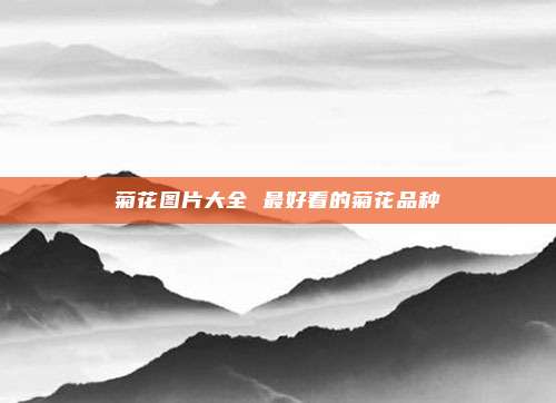 菊花图片大全 最好看的菊花品种