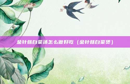 金针菇白菜汤怎么做好吃（金针菇白菜煲）