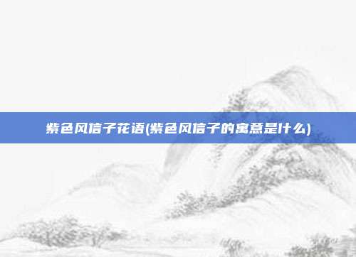 紫色风信子花语(紫色风信子的寓意是什么)