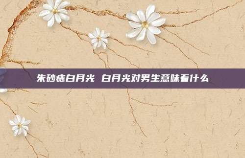朱砂痣白月光 白月光对男生意味着什么