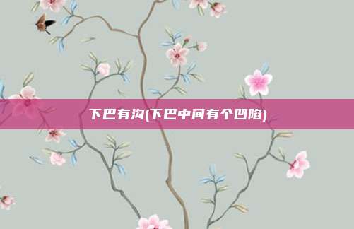下巴有沟(下巴中间有个凹陷)