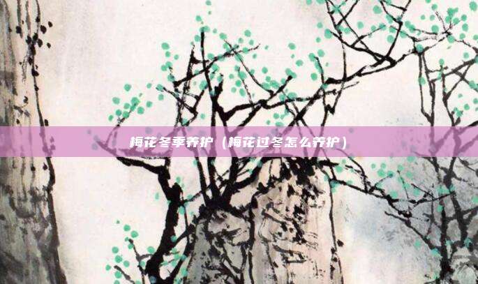 梅花冬季养护（梅花过冬怎么养护）