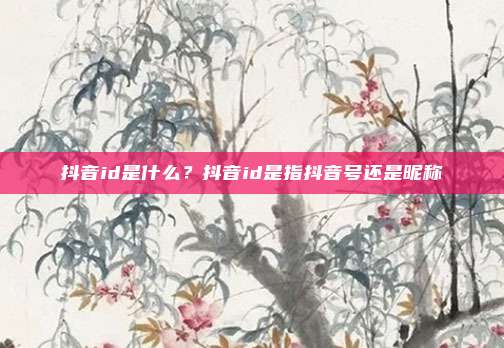 抖音id是什么?抖音id是指抖音号还是昵称