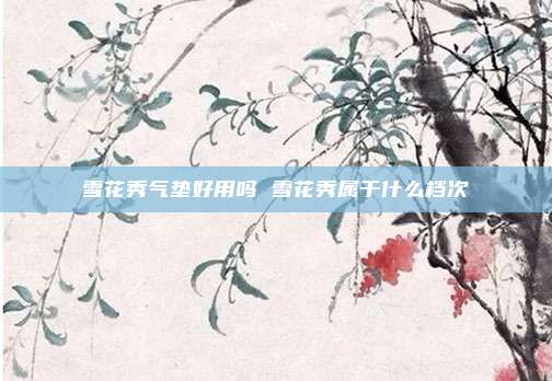 雪花秀气垫好用吗 雪花秀属于什么档次