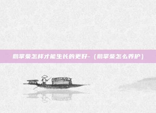 鹅掌柴怎样才能生长的更好-（鹅掌柴怎么养护）