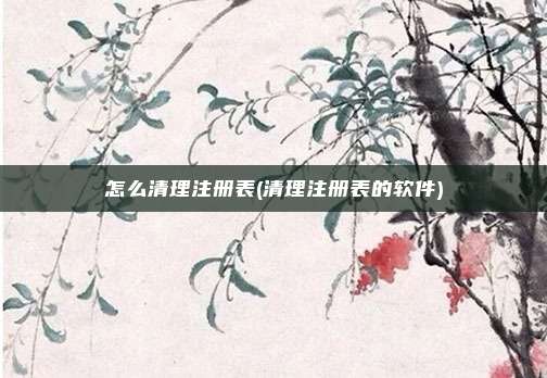 怎么清理注册表(清理注册表的软件)