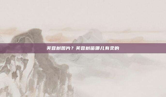 芙蓉树图片?芙蓉树苗哪儿有卖的