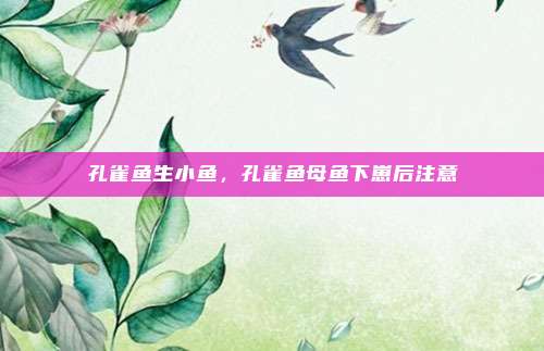 孔雀鱼生小鱼,孔雀鱼母鱼下崽后注意