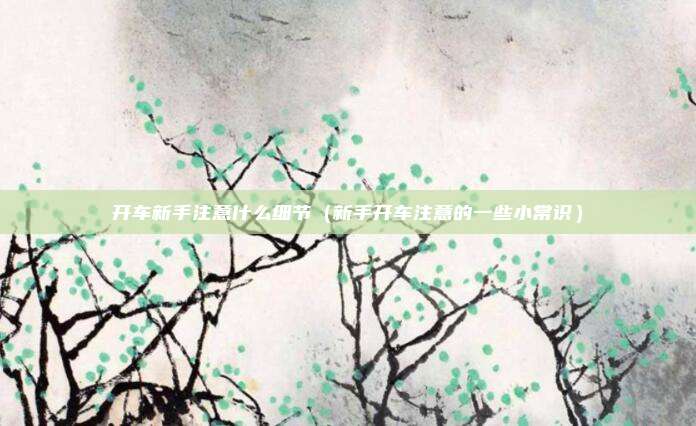开车新手注意什么细节（新手开车注意的一些小常识）