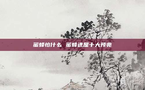 蜜蜂怕什么 蜜蜂进屋十大预兆