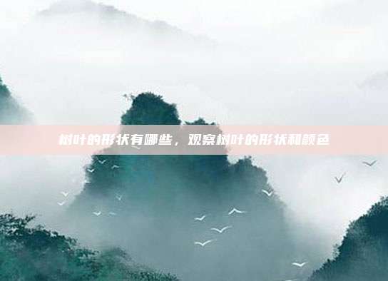 树叶的形状有哪些，观察树叶的形状和颜色