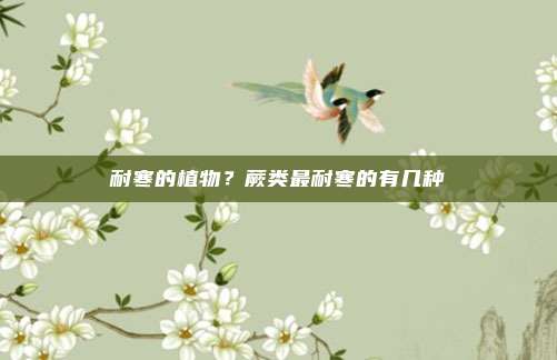 耐寒的植物?蕨类最耐寒的有几种