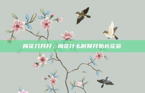 梅花几月开,梅花什么时候开始长花苞