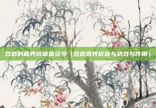 豆腐的营养价值是多少(豆腐营养价值与功效与作用)
